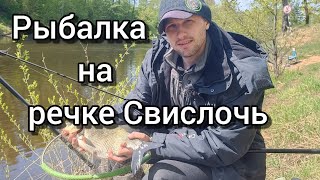 Фидерная рыбалка в мае на речке Свислочь. Ловля леща на речке.