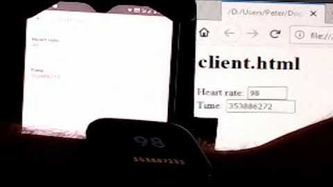 Fitbit Real-Time Data Capture