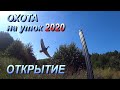 Охота на утку 2020, открытие охоты на утку 2020. Охота на уток удалась.