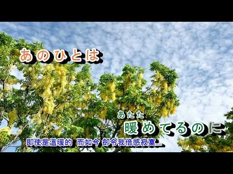 A07 631  アカシアの雨がやむとき 西田佐知子