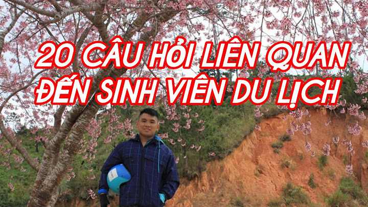 Sinh viên làm hướng dẫn viên du lịch