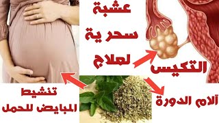 تنشيط المبايض للحمل تنظيم الدورة الشهرية ضبط الهرمونات علاج تكيس المبايض بالعشبة السحرية 