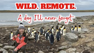 1 Million Penguins & Me | Bluff Cove, Falkland Islands
