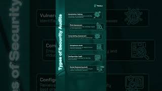 Security audits are critical in identifying and mitigating potential vulnerabilities. Net Worth