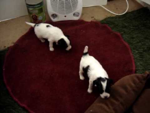MOV04535.MPG