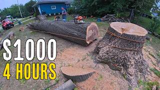 When Tree Work Pays The Bills