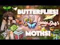 MINECRAFT HAS REAL BUTTERFLIES! 🦋 | Longwings Overview