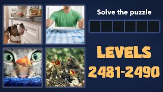 4 Pics 1 Word Levels 2481 - 2490 Answers screenshot 3