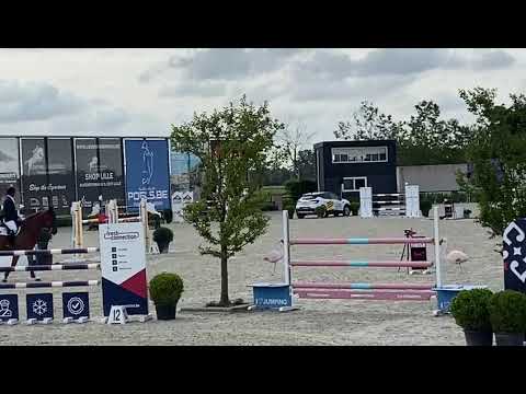Etikarta V Z - CSI2* Wuustwezel - 30 06 2024