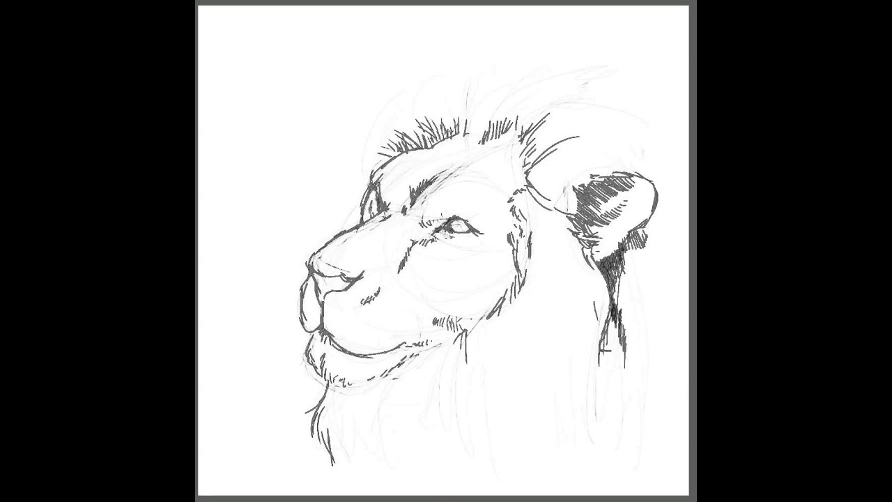 digital lion drawing, part 1