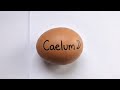 ODDLY SATISFYING RAW EGG PEELING ASMR