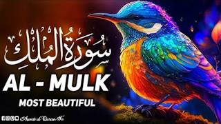 peaceful recitation of surah Al Mulk(The kingdom)| سورة الملك/ Aswat ul Quran Tv