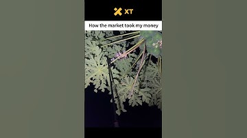 How the market took my money #crypto #bitcoin #xtexchange