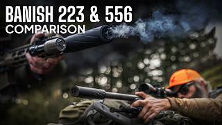 BANISH .223 / 5.56 Suppressor Comparison