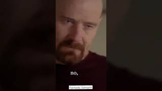 Walter White And Skyler Breakingbad I Am Not In Danger, I Am In Danger Heisenberg