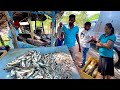 Wow island village streets best fishmarket excellent fish cutting sri lanka