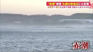 “赤潮”被害 イクラやウニが高騰  「時短解除なのに」寿司店は悲鳴…値段そのままで量は半分に (21/10/16 09:00)