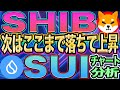 【３月６日最新版】柴犬コイン予定通りここで拾った方勝利展開か・・！柴犬コインとSUI【仮想通貨】【チャート分析】