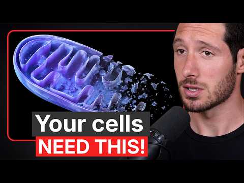 Keto Diets Are Starving Your Mitochondria