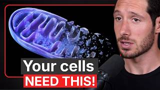 Keto Diets Are Starving Your Mitochondria