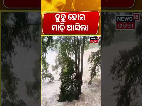 ହୁହୁ ହୋଇ ମାଡ଼ିଆସିଲା | Terrifying Flood Visuals From Bhimkund | Odisha Flood | Odia News