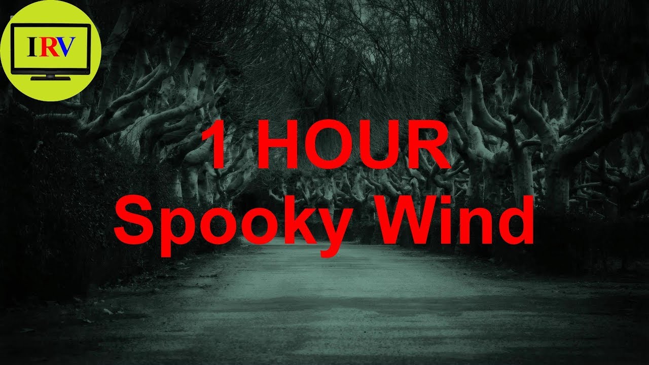 Spooky Wind Nature Sounds (Sound Effect) 1 Hour Relax Sleep Sounds