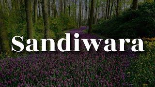 XPOSE - Sandiwara (Lirik)