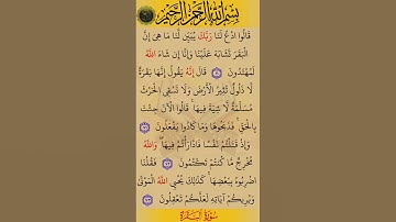 قالو ادع لنا ربك يبين لنا ما هي).سورة البقرة بصوت القارئ الشيخ صلاح بوخاطر...💞🌹🍂