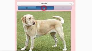 Screencast JsQuiz