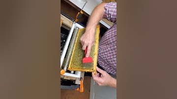 My Simple Harmony Farms Uncapper how I have it setup and use it #simpleharmonyfarms