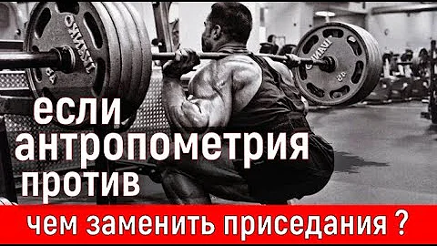 чем заменить присед