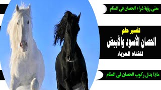 تفسير حلم الحصان الأسود والأبيض فى منام الفتاة العزباء