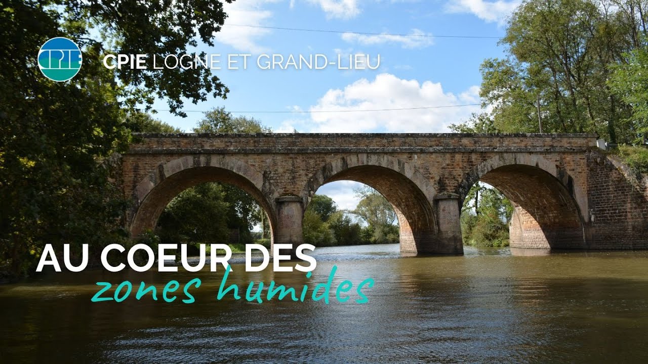 Au cœur des zones humides de l'Acheneau.