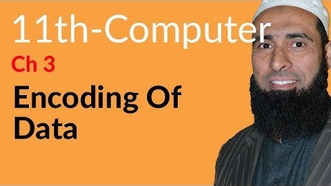 ICS Computer part 1, Ch 3 - Encoding of Data - 11th Class Computer