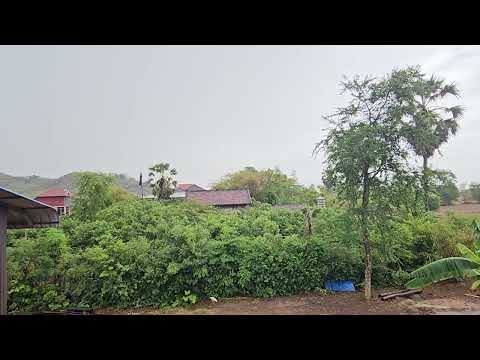 🌧️ Relaxing Rain Sounds in the Countryside 🌿 | Natural Rain ASMR for Deep Sleep