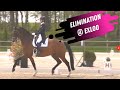 Eliminated marlies van baalen  ben johnson in grand prix dressage freestyle