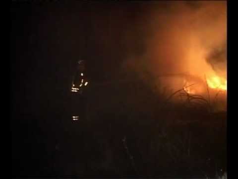 ინგირში ჩაის პლანტაციებს ცეცხლი..