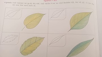 12 GUJ PRI STD 3 SUB CHITRA PAAN BY NILAM MP4