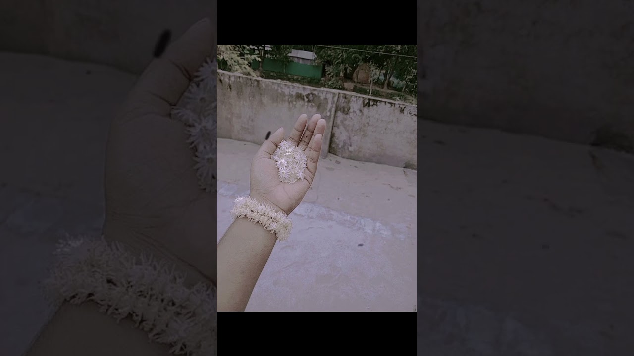 😅 rup o nai,gun o nai tay BCS premek o nai😅🤗 