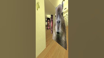 Aughhhh, Quandie And Capybara Nextbot Gmod