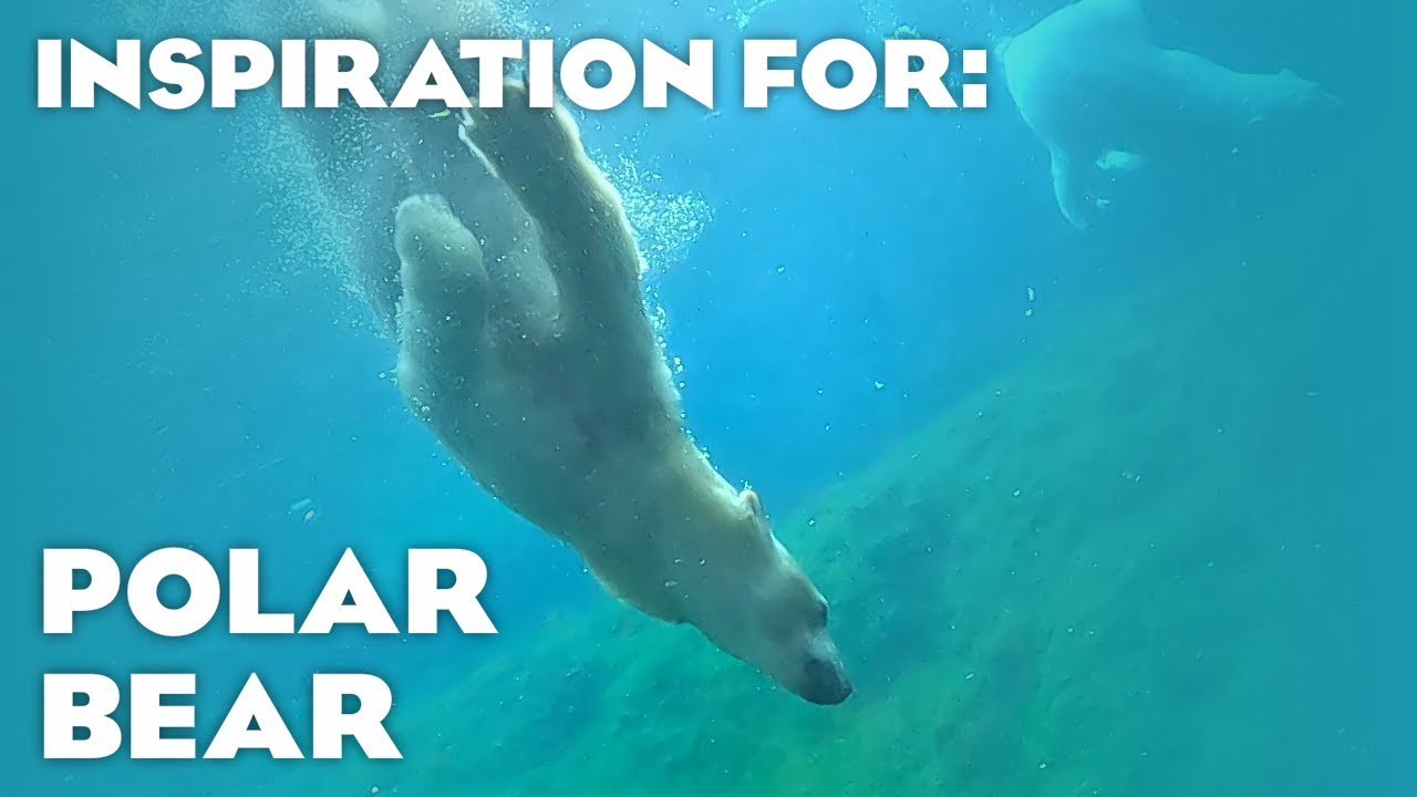 8 Real Polar Bear Habitats! (Planet Zoo Inspiration) - YouTube