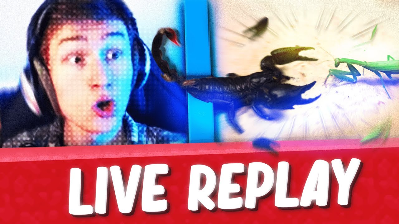 POTATOZ VOD - COMBAT D'INSECTE REACT