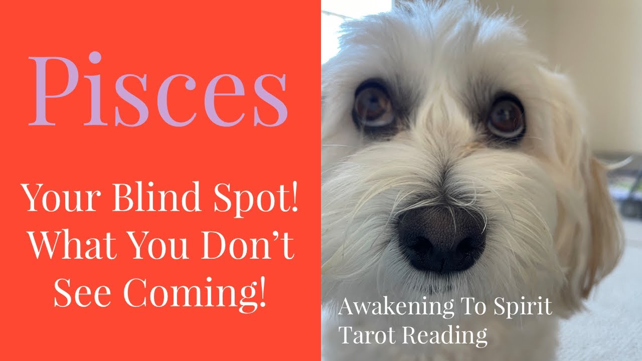 Pisces - The Red Ruby Meteor Of Chaos