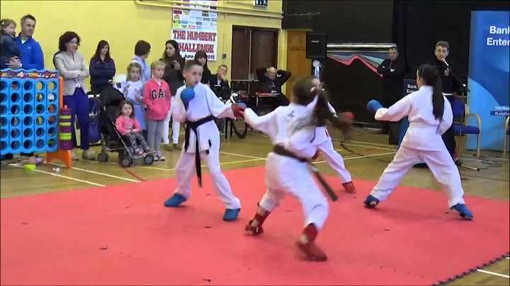 Karate Exhibition in Swinford 1