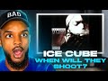 Ice Cube When Will They Shoot REACTION mp3