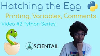Hatching the Egg: Printing, Variables, and Comments (Python Series Video 2)