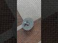 screw Fitting #trending #trending