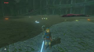 Zelda Botw: No Damage Coliseum Challenge