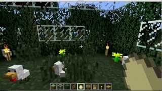 Minecraft - ASTUCES`- Elevage de poules.