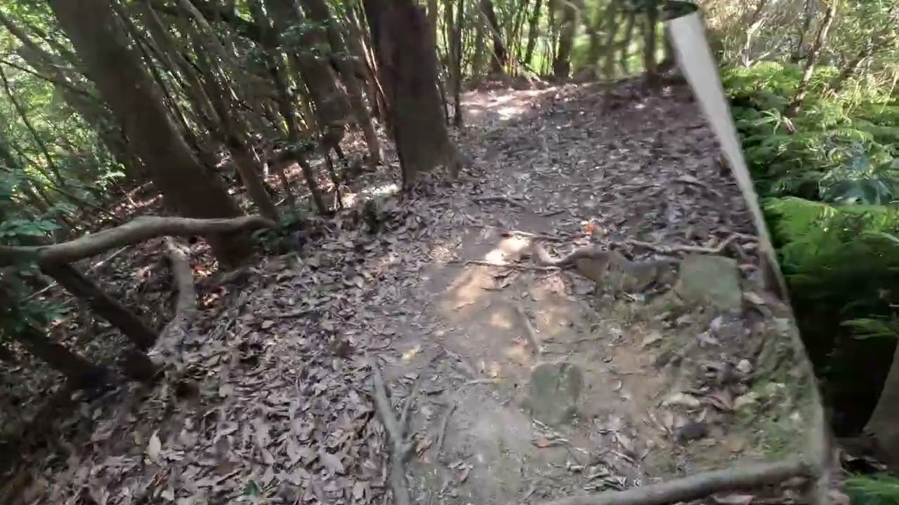 じいさんpo：下山